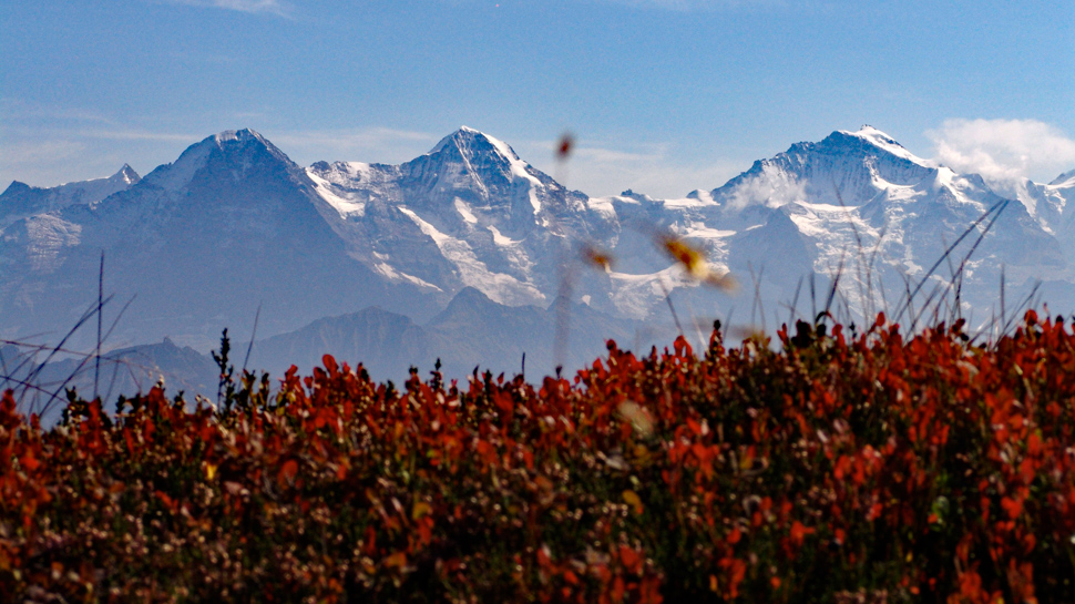 Wanderungen im Berner Oberland